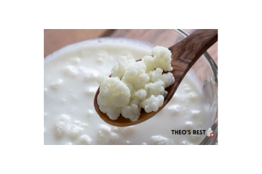 Milch-Kefirknollen